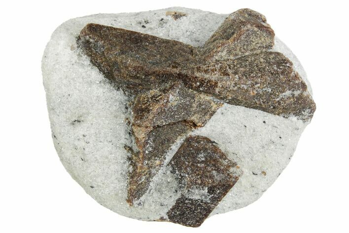 Twinned Staurolite Cross In Glittering Mica-Schist - Russia #356579
